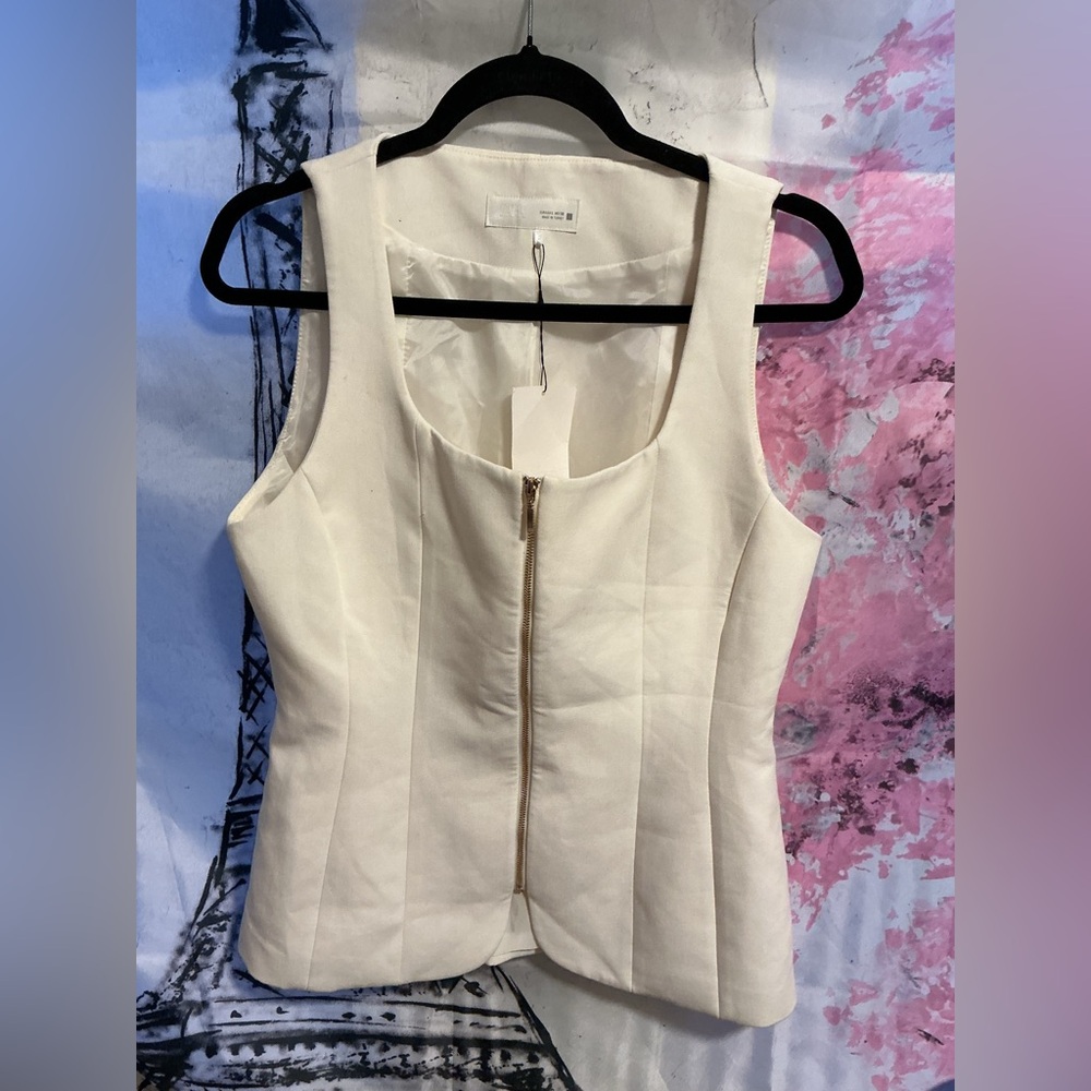 Spring /summer 🌺 NWT ZARA ZIPPER BUSTIER TOP  L
🚨 My prices are firm no discount - Picture 7 of 16